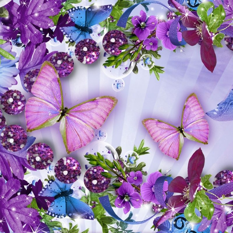 10 Latest Flowers And Butterflies Wallpaper FULL HD 1080p For PC Desktop 2022 free download images of flowers and butterflies bdfjade 800x800