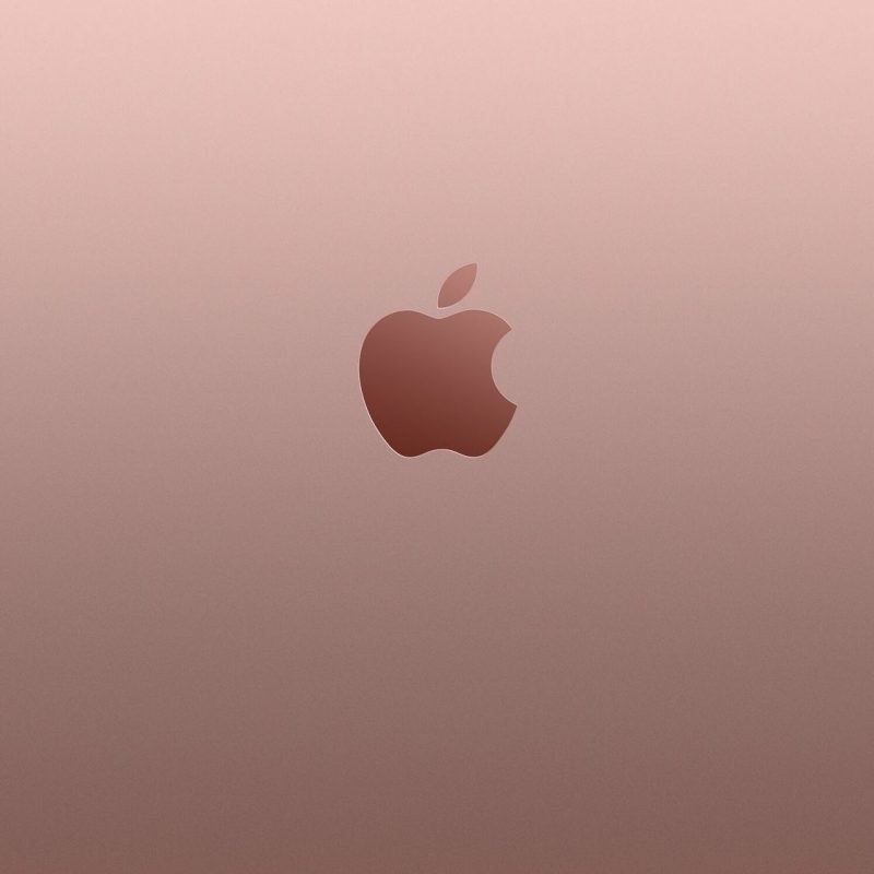 10 Most Popular Rose Gold Iphone Wallpaper FULL HD 1920×1080 For PC Desktop 2023 free download iphone 6s plus rose gold wallpapers phone pinterest gold 800x800