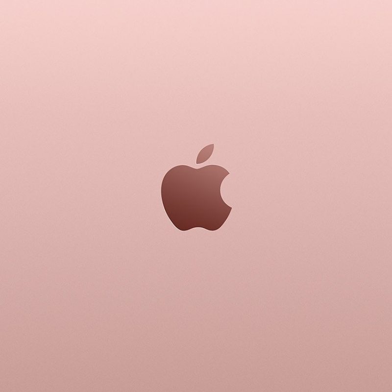 10 Top Rose Gold Iphone 6 Wallpaper FULL HD 1080p For PC Background 2022 free download iphone6papers iphone 6 wallpaper au11 apple pink rose gold 1 800x800