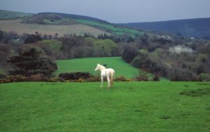 ireland countryside wallpaper (56+ images)