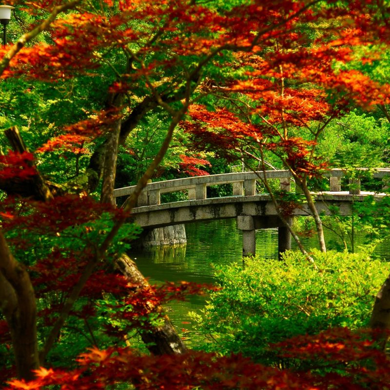 10 Latest Hd Japanese Garden Wallpaper FULL HD 1080p For PC Background 2022 free download japanese garden kyoto e29da4 4k hd desktop wallpaper for 4k ultra hd 4 800x800