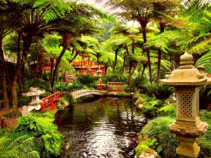 japanese tea garden wallpaper