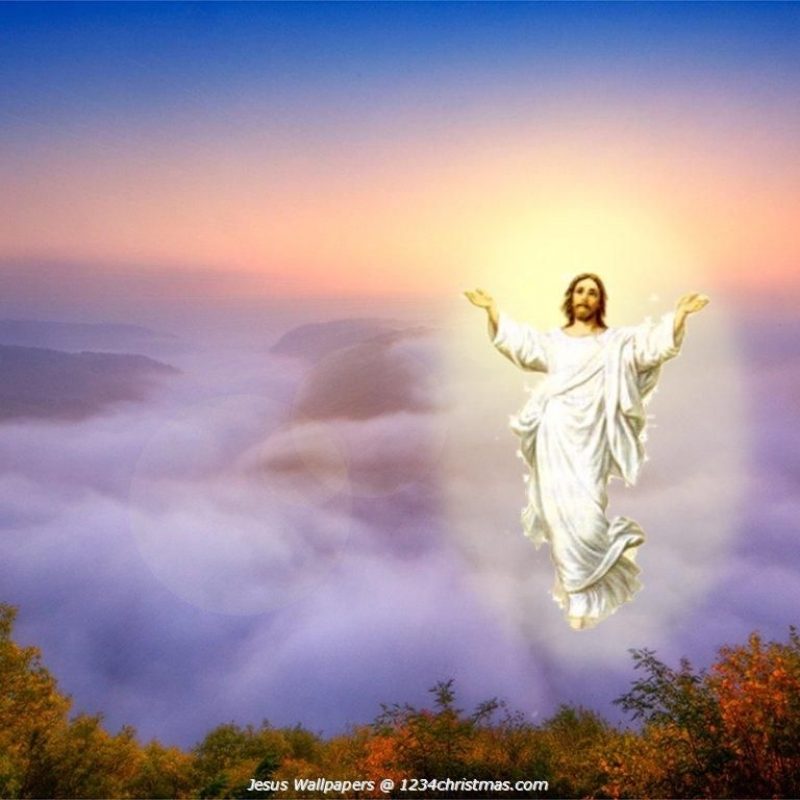 10 Most Popular Free Wallpaper Of Jesus Christ FULL HD 1080p For PC Background 2022 free download jesus wallpaper free jesus easter wallpaper jesus christ jesus hd 800x800