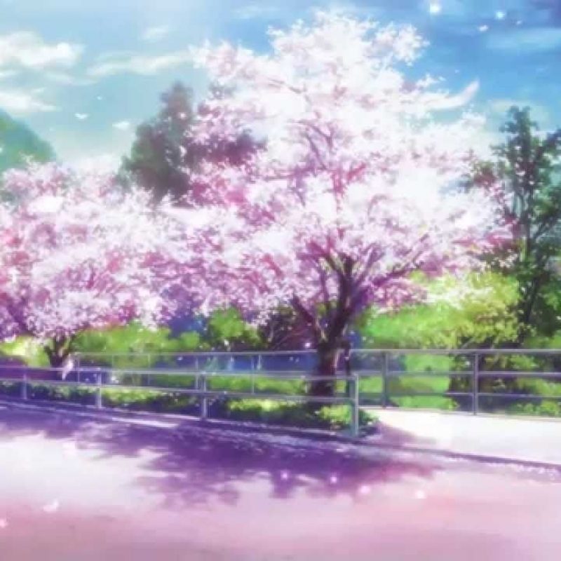 10 Most Popular Cherry Blossom Tree Anime Wallpaper FULL HD 1080p For PC Desktop 2023 free download jpg 1280x720 japan anime backgrounds anime pinterest anime 800x800