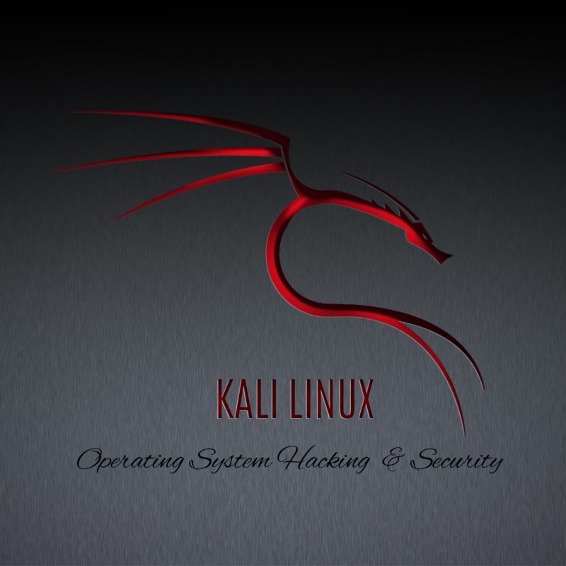 10 Latest Kali Linux Hd Wallpaper FULL HD 1080p For PC Desktop 2022 free download kali linux hd wallpapers 800x800
