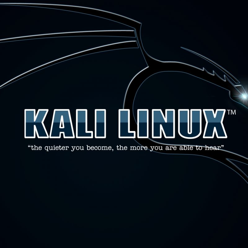 10 Latest Kali Linux Hd Wallpaper FULL HD 1080p For PC Desktop 2022 free download kali linux wallpapers kali linux 800x800