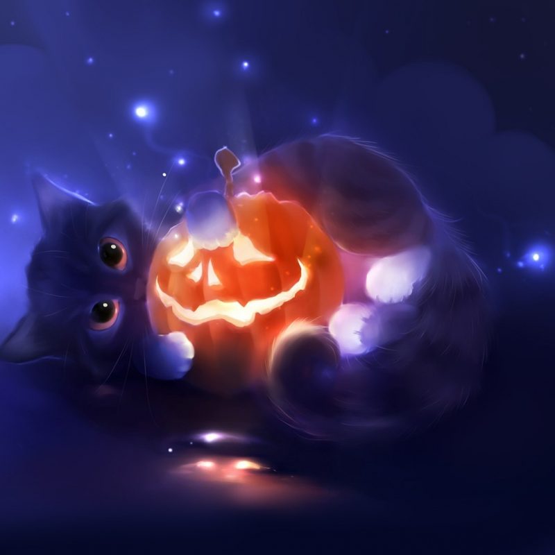 10 Top Cute Cat Halloween Wallpaper FULL HD 1920×1080 For PC Background 2022 free download kitten and a jack o lantern wallpaper 2865 800x800