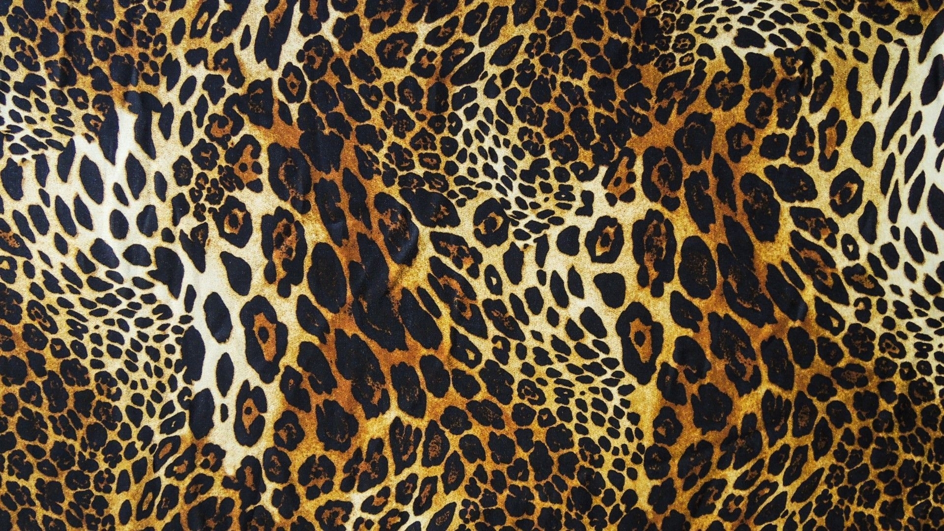 10 New Leopard Print Wallpaper Hd FULL HD 1080p For PC Background 2021