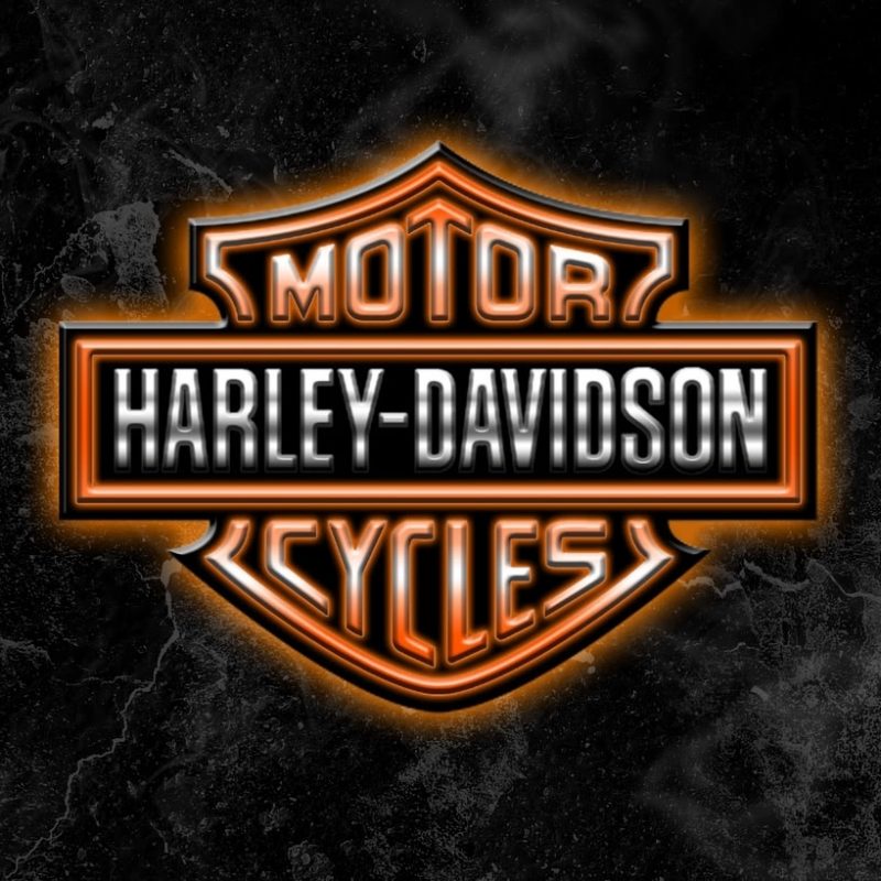 10 Top Harley Davidson Logo Wallpaper FULL HD 1080p For PC Desktop 2022 free download logo harley davidson wallpaper media file pixelstalk 2 800x800
