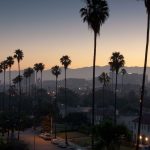 los angeles palm trees iphone | wallpaper | pinterest | palm, los