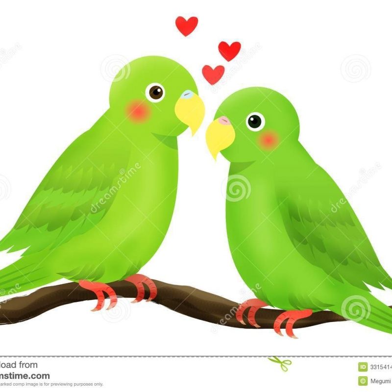 10 Top Images Of Love Bird FULL HD 1920×1080 For PC Background 2023 free download love bird stock vector illustration of heart branch 3315414 800x800
