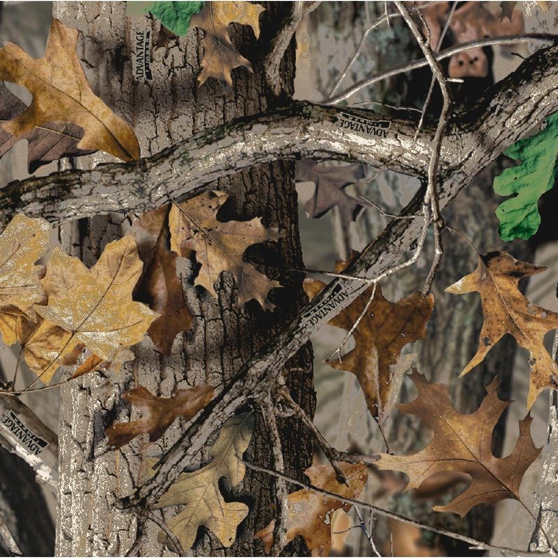 10 Most Popular Realtree Camouflage Wallpaper Hd FULL HD 1920×1080 For PC Background 2024 free download lovely realtree camouflage wallpaper for walls amazing camo 800x800