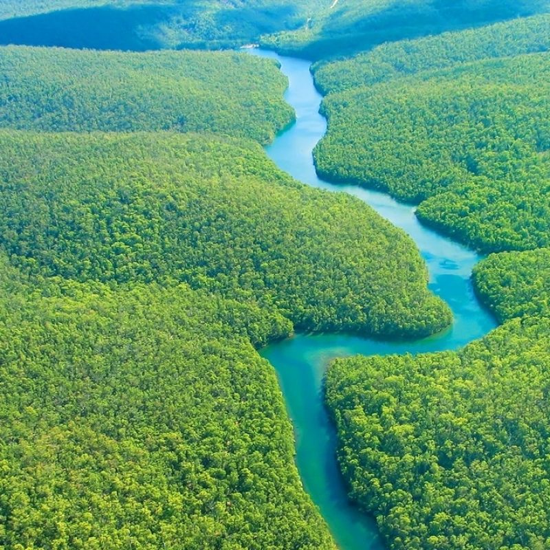 10 Top Pictures Of The Amazon Rainforest FULL HD 1920×1080 For PC Desktop 2024 free download %name