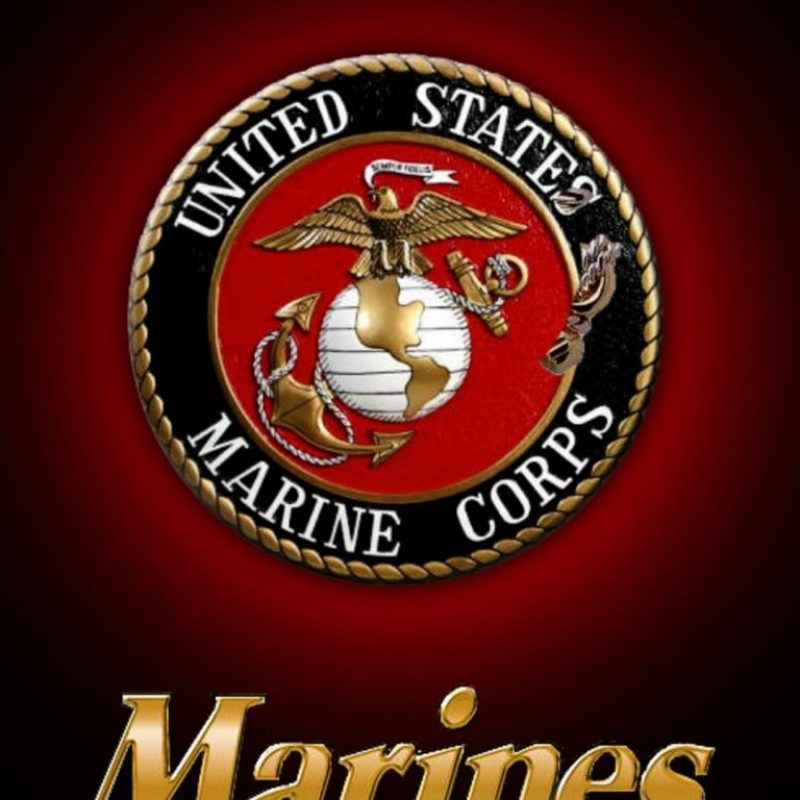 10 New Free Marine Corp Wallpaper FULL HD 1080p For PC Background 2024 free download marine corps wallpapers wallpaper cave 4 800x800