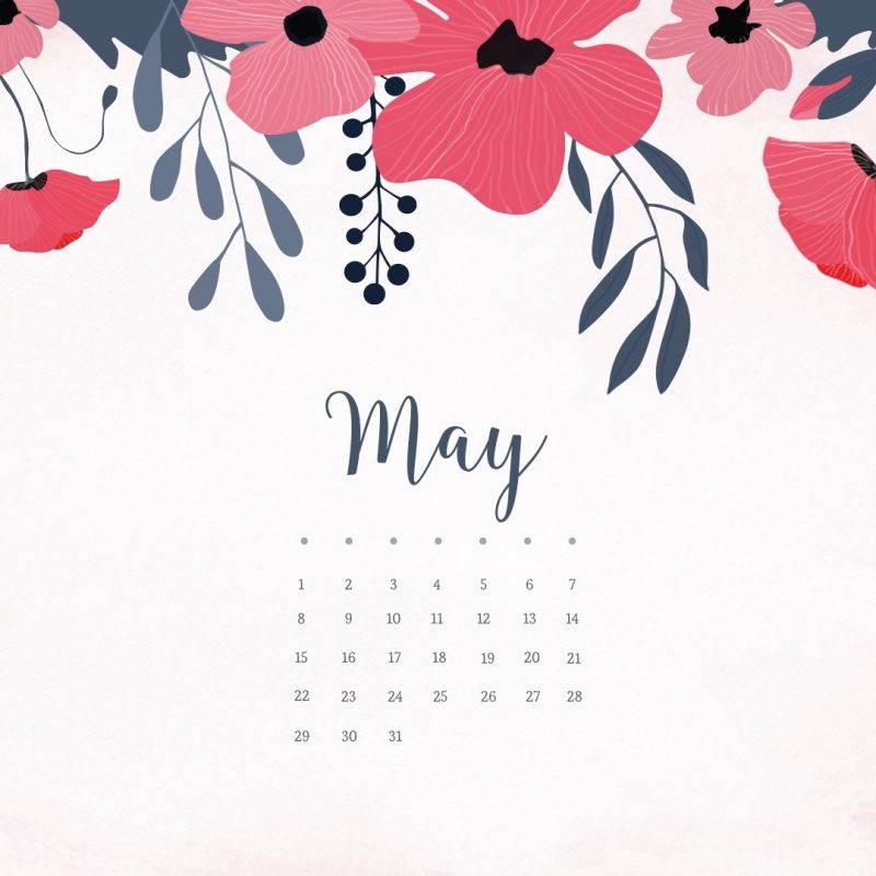 10 New May 2017 Calendar Wallpaper FULL HD 1080p For PC Background 2022 free download may 2017 calendar wallpaper 1280x1024 wallpaper rocket 800x800