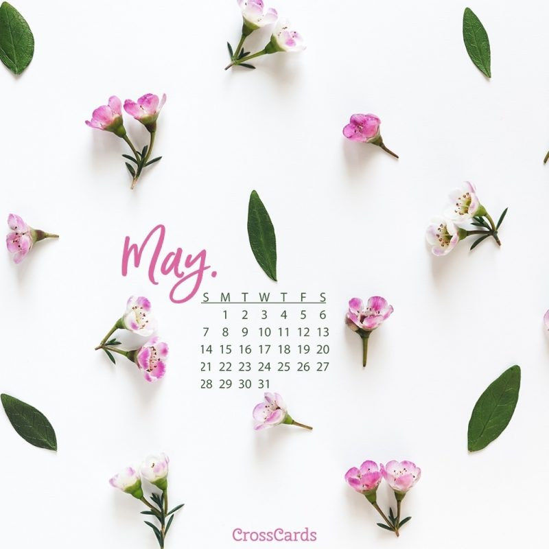 10 New May 2017 Calendar Wallpaper FULL HD 1080p For PC Background 2024 free download may 2017 pink flowers desktop calendar free may wallpaper 800x800