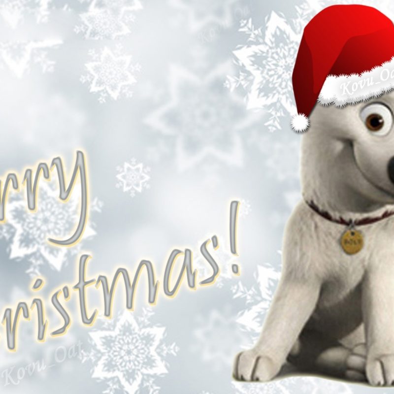 10 Top Cute Merry Christmas Wallpaper Dogs FULL HD 1080p For PC Desktop 2023 free download merry christmas disney cute bolt wallpaper hd disneys bolt 1920 1080 800x800