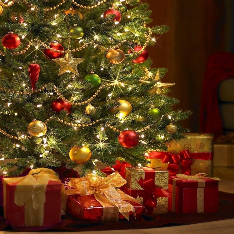 10 Best Free Christmas Trees Wallpaper FULL HD 1080p For PC Desktop 2023 free download merry christmas tree free download wallpaper pixelstalk 1 800x800