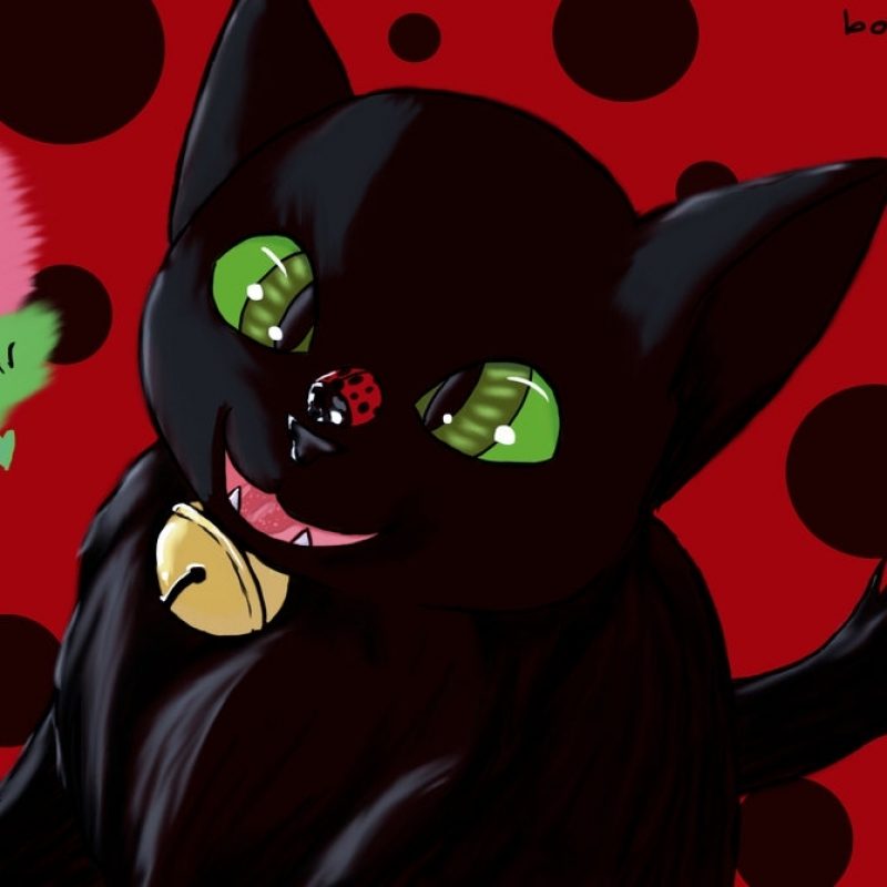 10 Top Ladybug And Cat Noir Wallpaper FULL HD 1080p For PC Desktop 2022 free download miraculous ladybug and chat noirthebookwormmaddy on deviantart 800x800