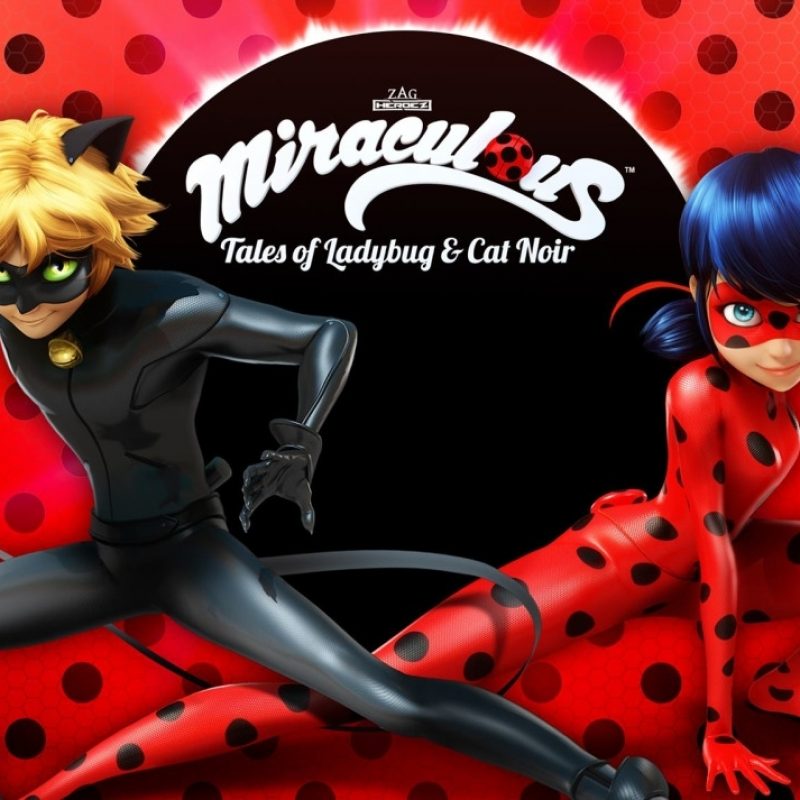 10 Top Ladybug And Cat Noir Wallpaper FULL HD 1080p For PC Desktop 2022 free download miraculous tales of ladybug cat noir wallpapers and background 1 800x800