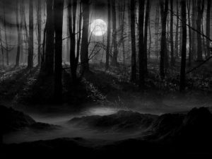 moon scenery backgrounds | dark forest moon wallpaper | lunachild