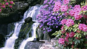 most beautiful waterfalls with flowers | download 1920x1080 flowers