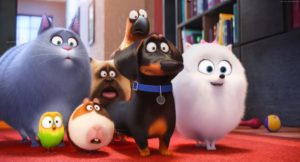 movies the secret life of pets wallpapers (desktop, phone, tablet