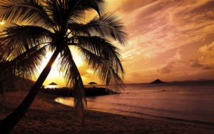 nature summer sunset beach wallpaper #2359 wallpaper | walldiskpaper