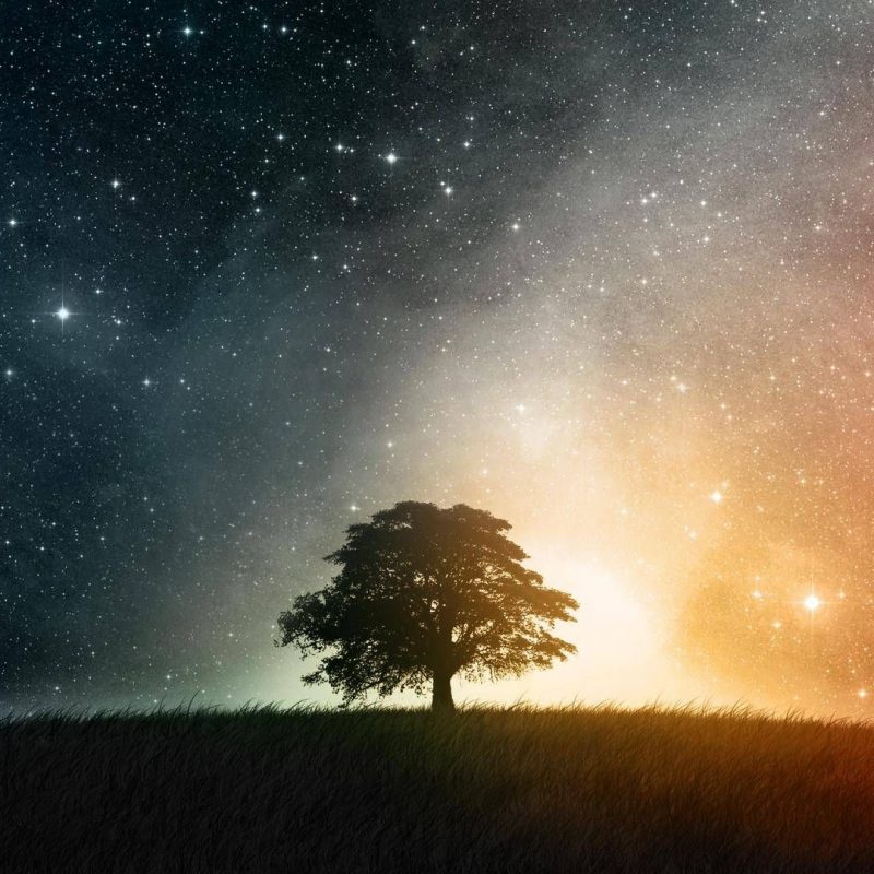 10 Best Night Sky Stars Wallpaper Hd FULL HD 1920×1080 For PC Desktop 2022 free download night sky stars wallpapers wallpaper cave adorable wallpapers 800x800