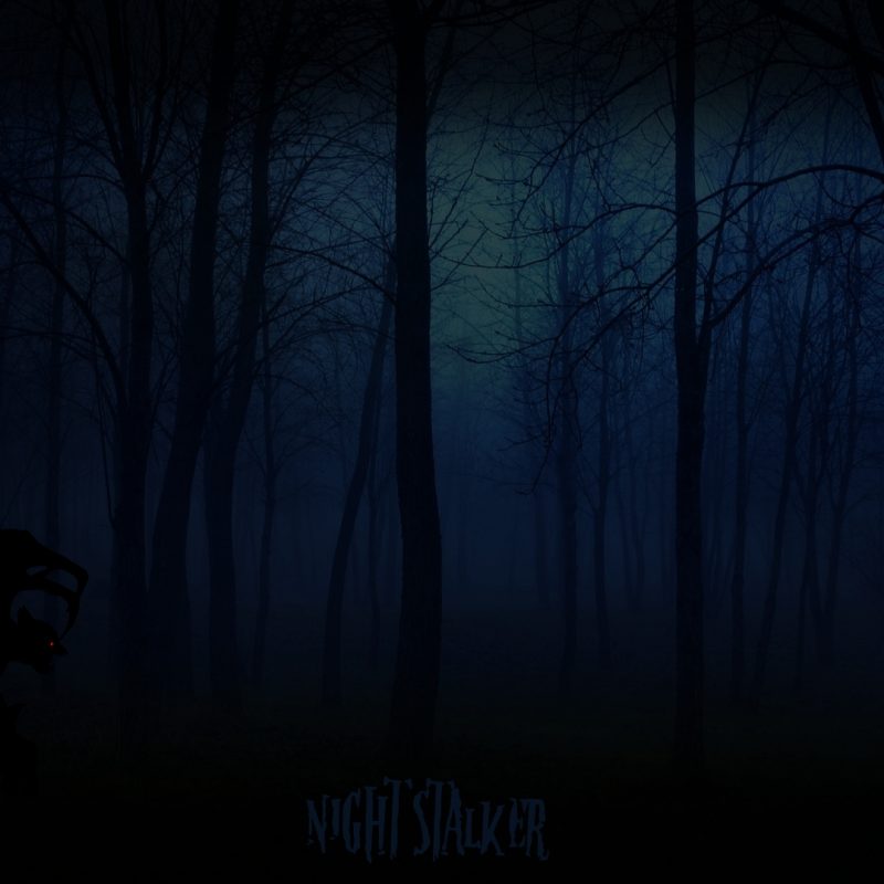10 Top Woods At Night Wallpaper FULL HD 1920×1080 For PC Background 2022 free download night stalker in the woodsciscopete24 on deviantart 800x800