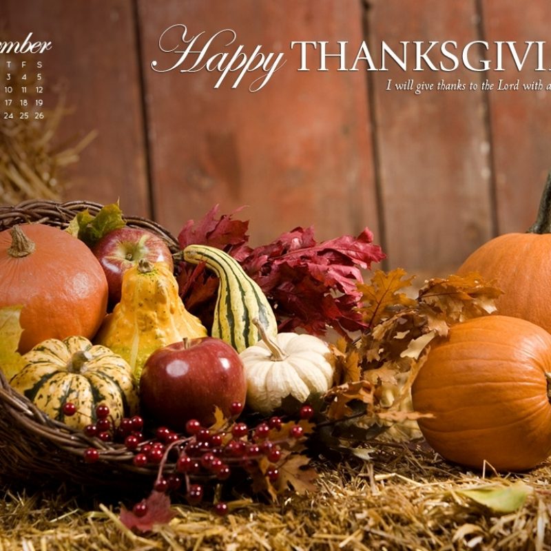 10 Latest Free Thanksgiving Computer Wallpaper FULL HD 1920×1080 For PC Background 2022 free download november 2012 thanksgiving wallpaper celebrate thanksgiving 1 800x800