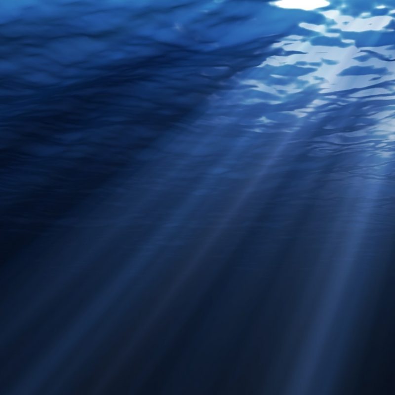 10 Latest Deep Sea Desktop Backgrounds FULL HD 1080p For PC Desktop 2022 free download oceans ocean water sunlight blue deep sea desktop wallpaper oceans 800x800