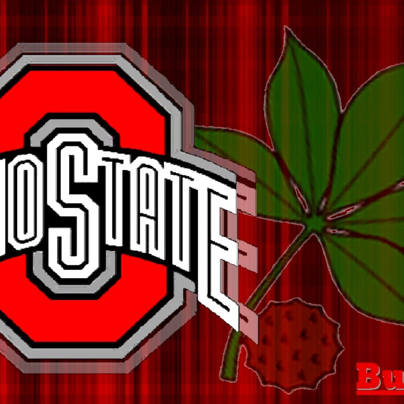 10 New Ohio State Buckeyes Image FULL HD 1920×1080 For PC Background 2022 free download ohio state buckeyes images red block o white ohio state with buckeye 800x800