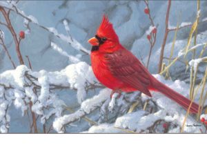 &amp; outdoor cardinal in snow matmate doormat-18x30