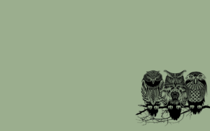 owl wallpapers for computer - wallpaper cave