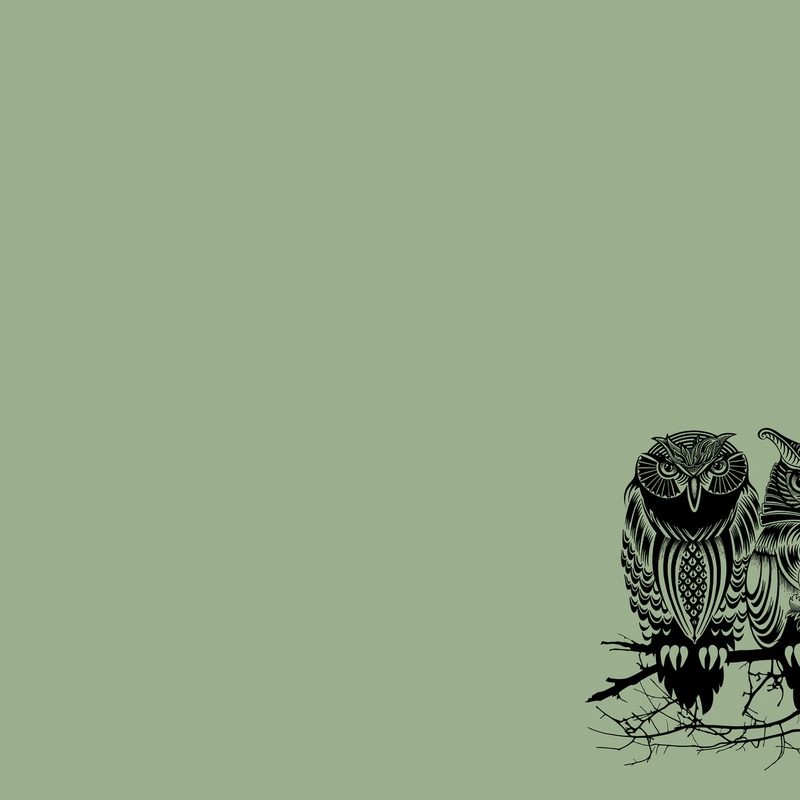 10 New Owl Backgrounds For Computer FULL HD 1920×1080 For PC Desktop 2024