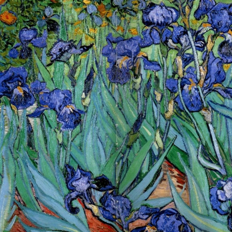 10 New Vincent Van Gogh Wallpaper Hd FULL HD 1080p For PC Background 2022 free download paintings vincent van gogh wallpaper 119809 1 800x800