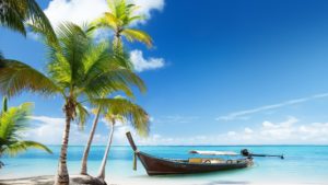 palm trees beach wallpapers group (84+)