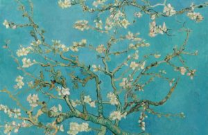 papier peint fresque branches d'amandes de van gogh - murals wallpaper