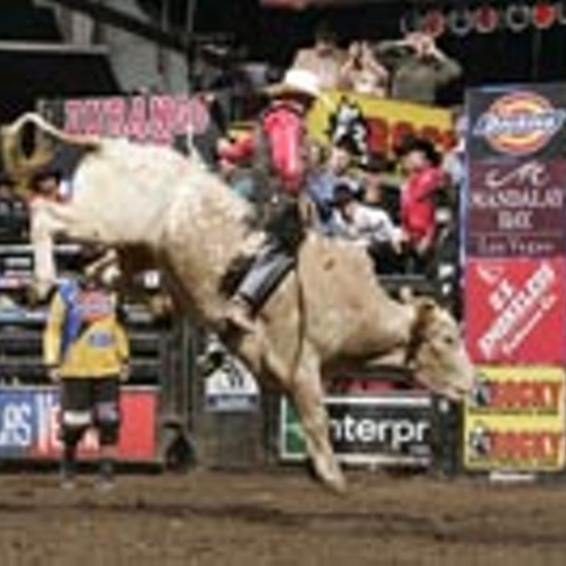 10 Best Professional Bull Riders Inc FULL HD 1920×1080 For PC Background 2022 free download pbr aint just a beer shootin the bull with justin mcbride rec 800x800