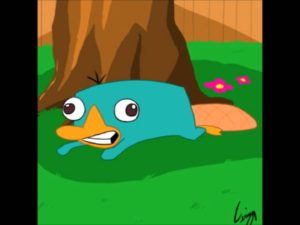 perry the platypus noise - youtube