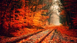 photo fall desktop wallpapers hd. - media file | pixelstalk