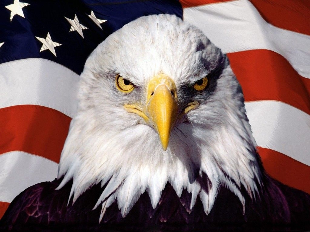 10 New American Flag With Eagle Background FULL HD 1920×1080 For PC ...