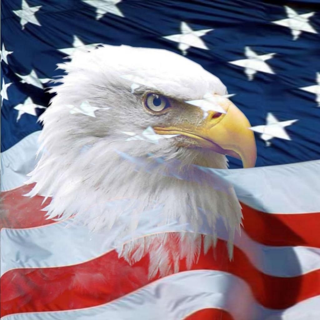 10 Latest Usa Flag Eagle Wallpaper FULL HD 1920×1080 For PC Background 2023