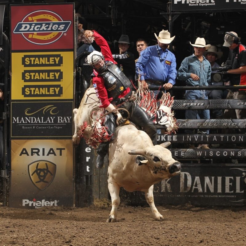 10 Best Professional Bull Riders Inc FULL HD 1920×1080 For PC Background 2023 free download professional bull riders hit nyc boyz rule our world 800x800