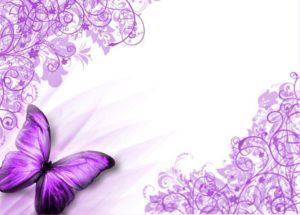 purple butterfly backgrounds - wallpaper cave