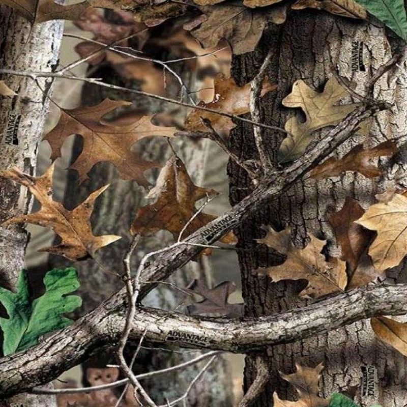 10 Most Popular Realtree Camouflage Wallpaper Hd FULL HD 1920×1080 For PC Background 2024 free download realtree camo full hd pics backgrounds computer wallpaper of mobile 800x800