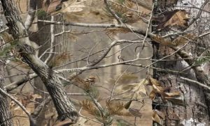 realtree camo photos hd images of laptop desktop wallpaper | wallvie