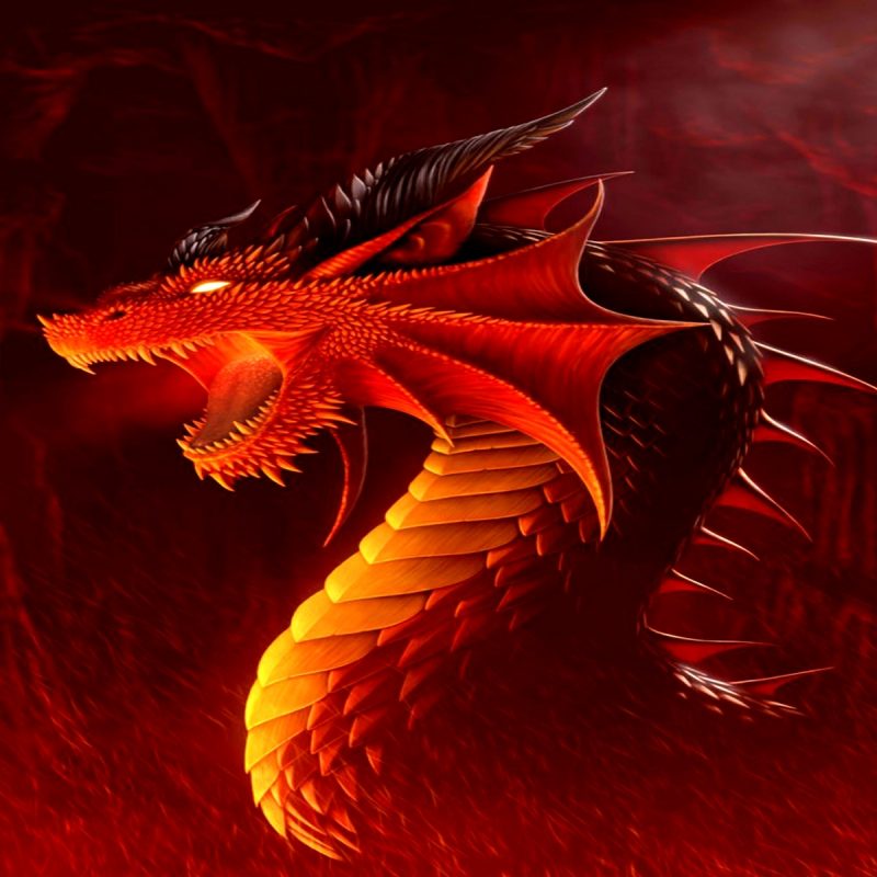 10 Top Red Dragon Wallpaper Hd FULL HD 1920×1080 For PC Desktop 2022 free download red dragon wallpapers hd media file pixelstalk 800x800