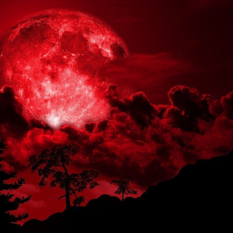 10 Best Red Moon Wallpaper Hd FULL HD 1080p For PC Background 2022 free download red full moon wallpaper 2018 wallpaper hd wallpaper red moon 800x800